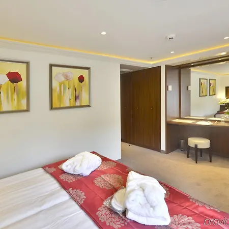 Faircruise Business Hotelship Colonia
